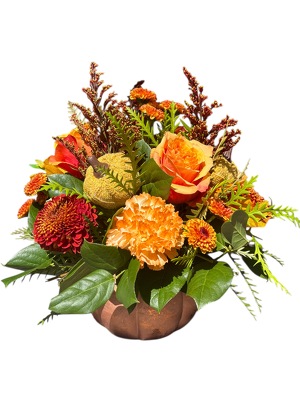 Harvest Pumpkin Harvest Pumpkin